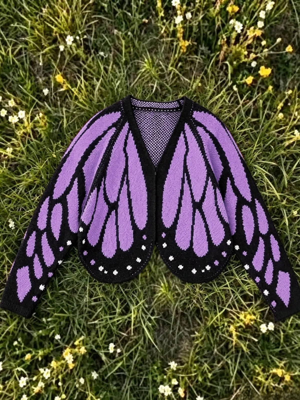 Wear the Wings
