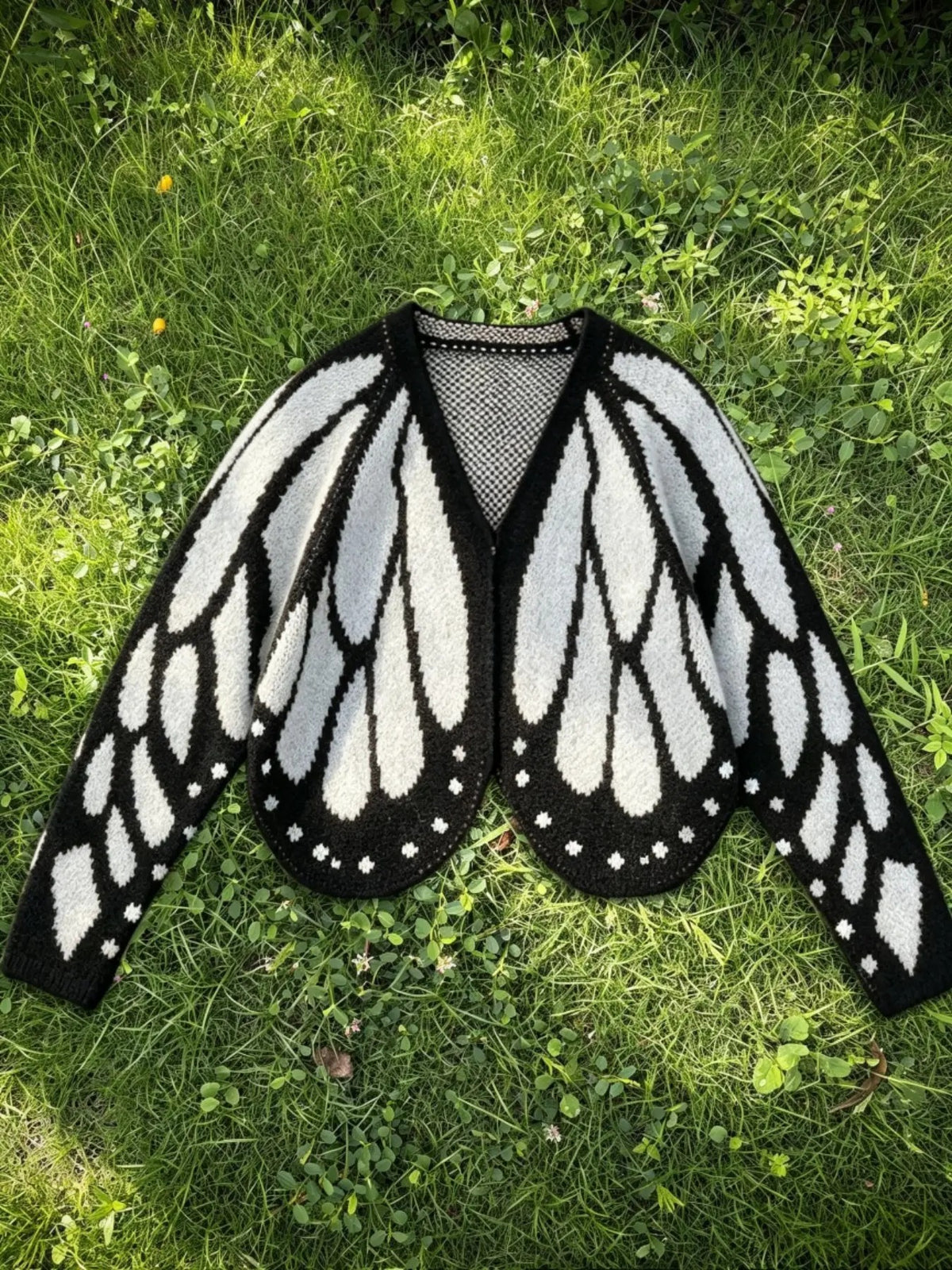 Wear the Wings
